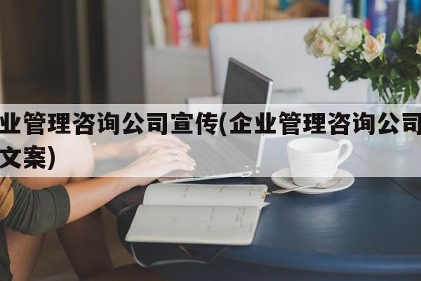 企业管理咨询公司宣传(企业管理咨询公司宣传文案)